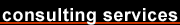 consulting services
